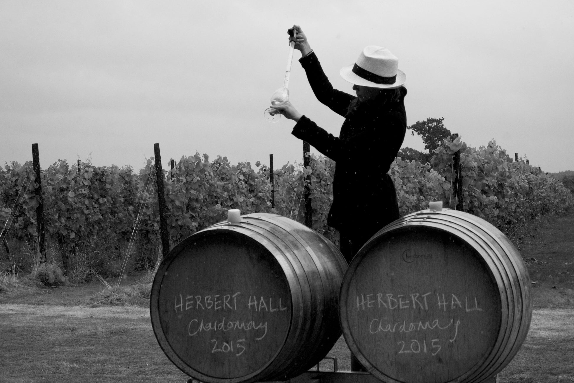 Herbert Hall Shop Herbert Hall Wines Limited